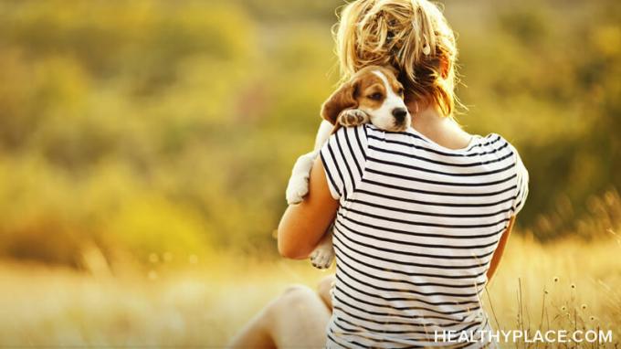 Djurassisterad terapi kan vara fördelaktigt för din mentala hälsa. Lär dig hur husdjursterapi används för mental hälsa på HealthyPlace.com