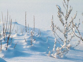 Vintern kan förvärra depression men läs dessa tips om att överleva vintern med depression för att slå tillbaka.