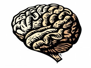 Trauma påverkar din hjärna, men att läka PTSD är mer troligt än någonsin. Lär dig hur trauma påverkar hjärnan och hur neuroplasticitet hjälper dig att återhämta sig. Läs detta.